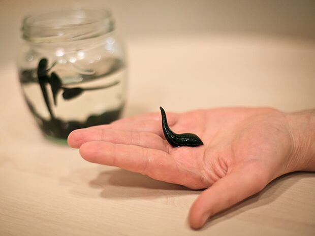 aplicare pentru tratamentul artrozei articulației genunchiului